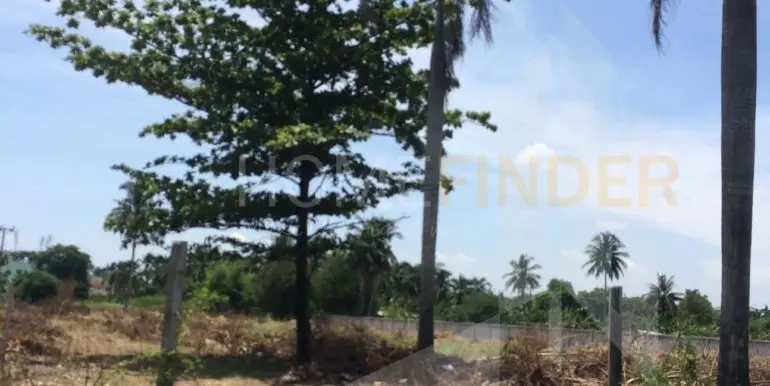 land puthamonthon2 10 rai 50k (2)