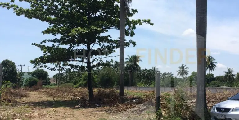 land puthamonthon2 10 rai 50k (4)