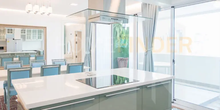 Regent On The Park 2 (3bed 265.54sqm 110k)-25