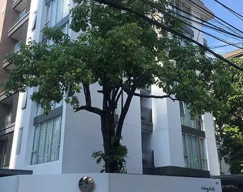 living-24-condo-khlong-toei-5ac5cd2da12eda082700da55_full
