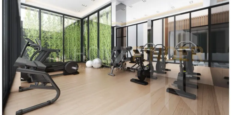 C_3