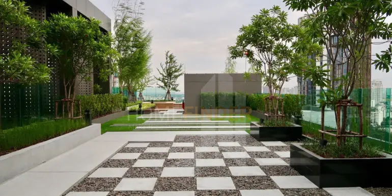 roof top garden