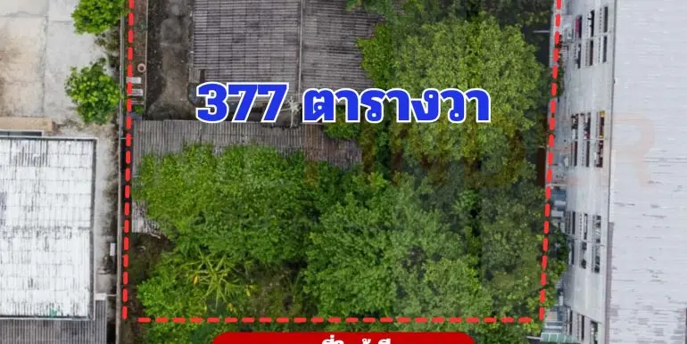 ข้อความในย่อหน้าของคุณ