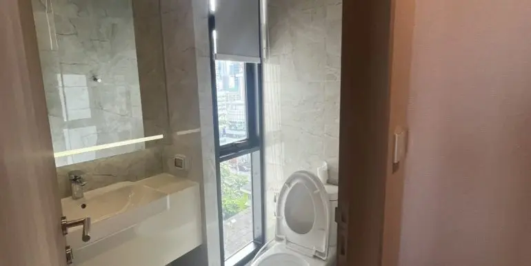 S__43843589