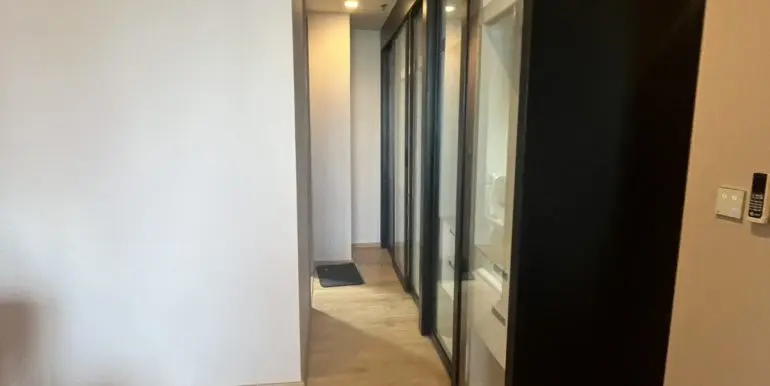 S__43843592