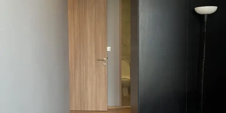 S__43851783