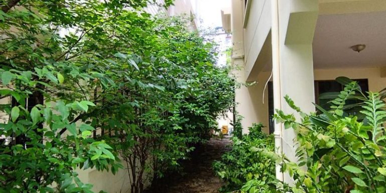 m800x1200 (4)